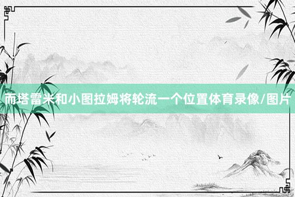 而塔雷米和小图拉姆将轮流一个位置体育录像/图片