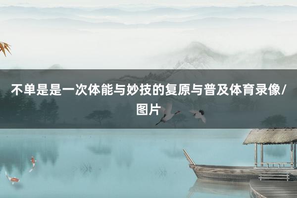 不单是是一次体能与妙技的复原与普及体育录像/图片