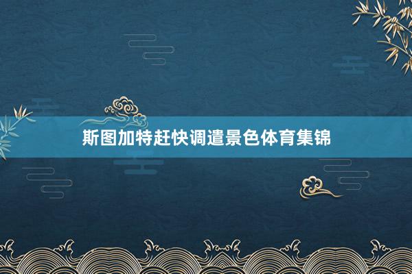 斯图加特赶快调遣景色体育集锦