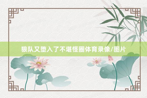 狼队又堕入了不堪怪圈体育录像/图片