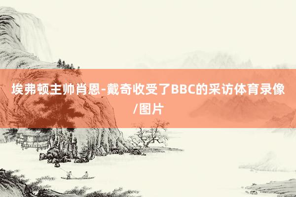 埃弗顿主帅肖恩-戴奇收受了BBC的采访体育录像/图片