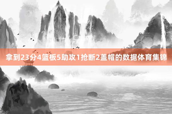 拿到23分4篮板5助攻1抢断2盖帽的数据体育集锦