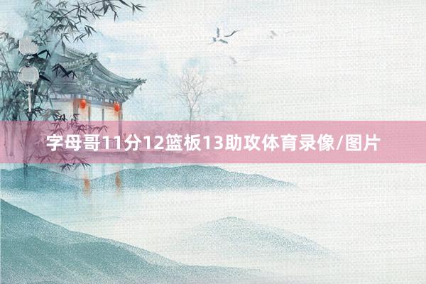 字母哥11分12篮板13助攻体育录像/图片