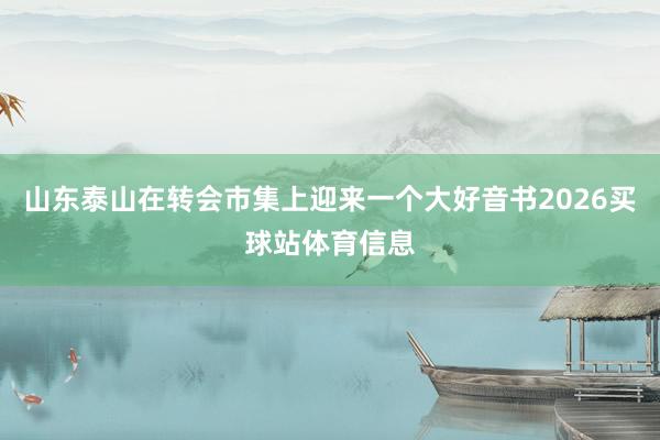 山东泰山在转会市集上迎来一个大好音书2026买球站体育信息