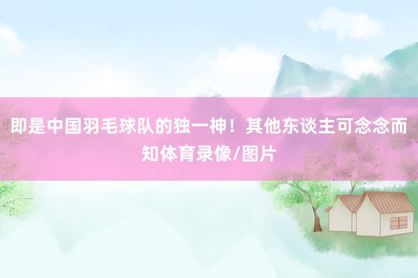 即是中国羽毛球队的独一神！其他东谈主可念念而知体育录像/图片