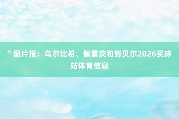 ”图片报：乌尔比希、佩雷茨和努贝尔2026买球站体育信息