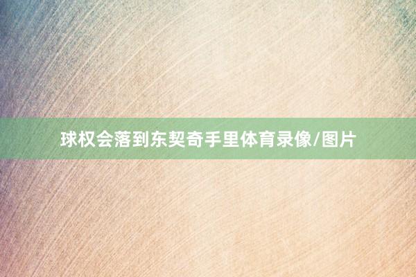 球权会落到东契奇手里体育录像/图片