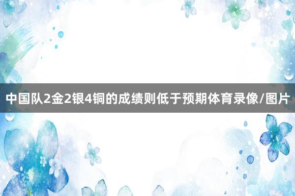 中国队2金2银4铜的成绩则低于预期体育录像/图片