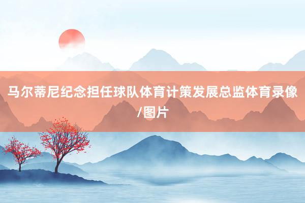 马尔蒂尼纪念担任球队体育计策发展总监体育录像/图片