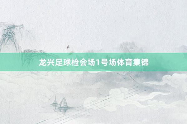 龙兴足球检会场1号场体育集锦
