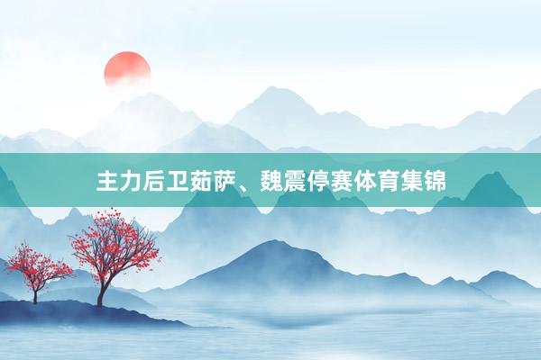 主力后卫茹萨、魏震停赛体育集锦
