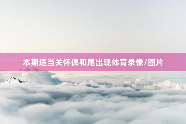 本期适当关怀偶和尾出现体育录像/图片