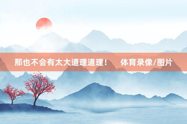 那也不会有太大道理道理！    体育录像/图片