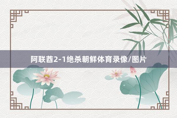 阿联酋2-1绝杀朝鲜体育录像/图片