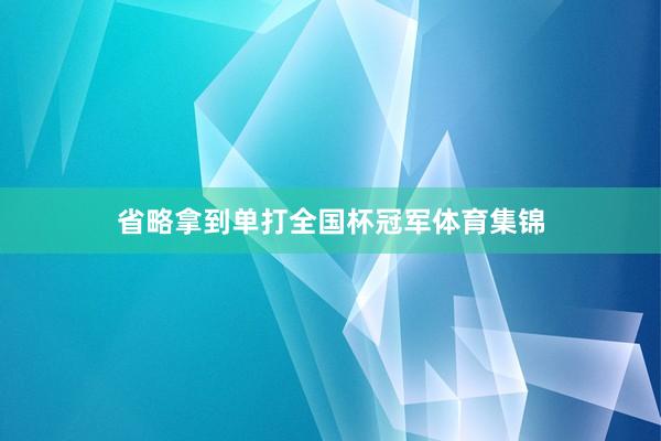 省略拿到单打全国杯冠军体育集锦
