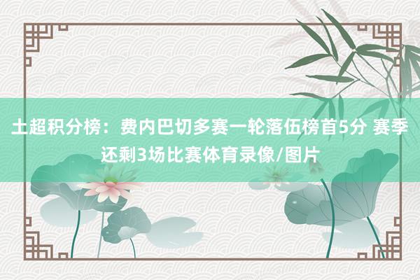 土超积分榜：费内巴切多赛一轮落伍榜首5分 赛季还剩3场比赛体育录像/图片