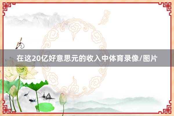 在这20亿好意思元的收入中体育录像/图片