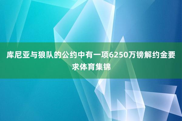 库尼亚与狼队的公约中有一项6250万镑解约金要求体育集锦