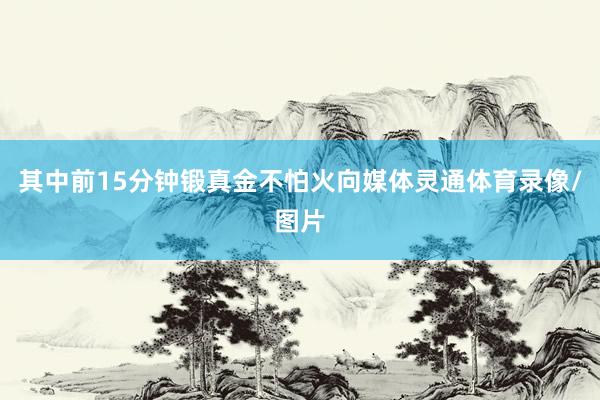 其中前15分钟锻真金不怕火向媒体灵通体育录像/图片