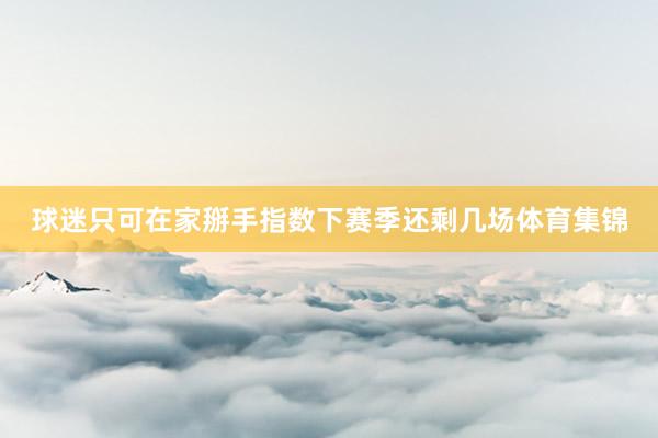 球迷只可在家掰手指数下赛季还剩几场体育集锦