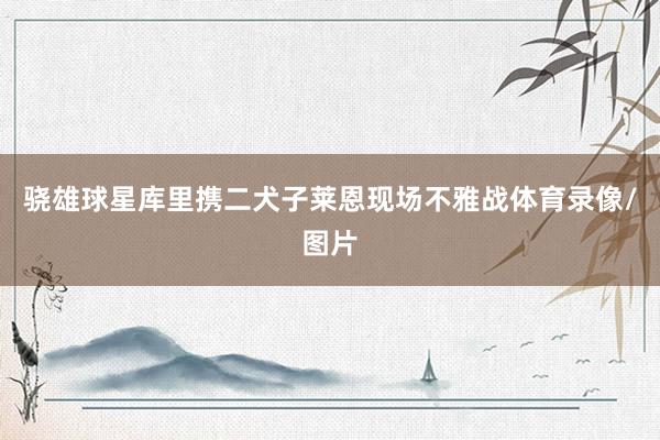 骁雄球星库里携二犬子莱恩现场不雅战体育录像/图片