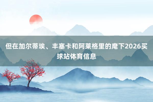 但在加尔蒂埃、丰塞卡和阿莱格里的麾下2026买球站体育信息