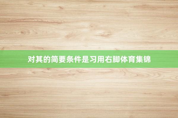 对其的简要条件是习用右脚体育集锦