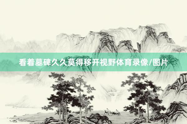 看着墓碑久久莫得移开视野体育录像/图片