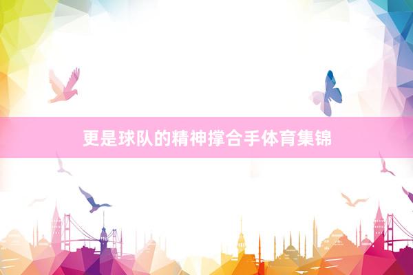 更是球队的精神撑合手体育集锦