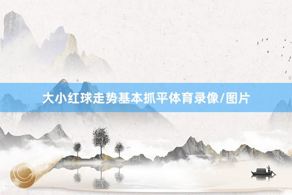 大小红球走势基本抓平体育录像/图片