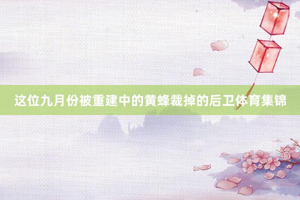这位九月份被重建中的黄蜂裁掉的后卫体育集锦