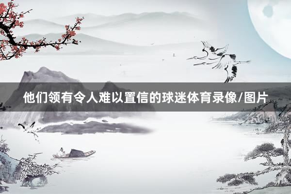 他们领有令人难以置信的球迷体育录像/图片