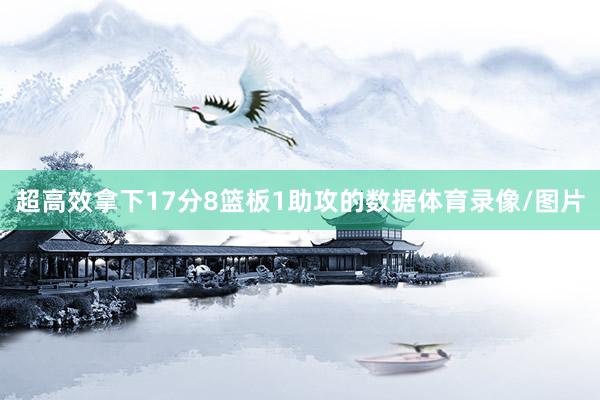 超高效拿下17分8篮板1助攻的数据体育录像/图片