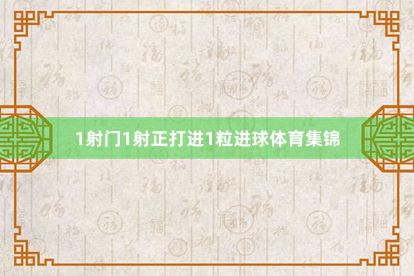 1射门1射正打进1粒进球体育集锦