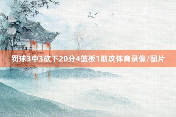 罚球3中3砍下20分4篮板1助攻体育录像/图片
