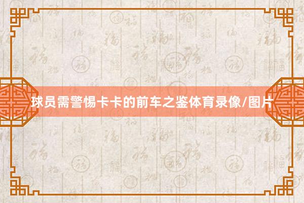 球员需警惕卡卡的前车之鉴体育录像/图片