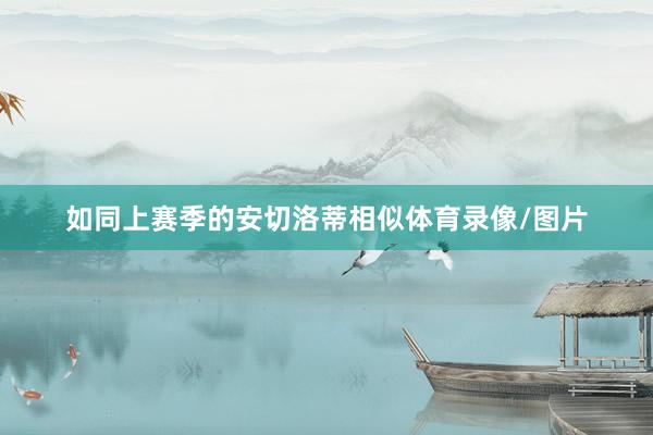 如同上赛季的安切洛蒂相似体育录像/图片
