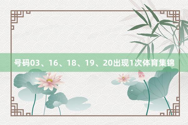 号码03、16、18、19、20出现1次体育集锦